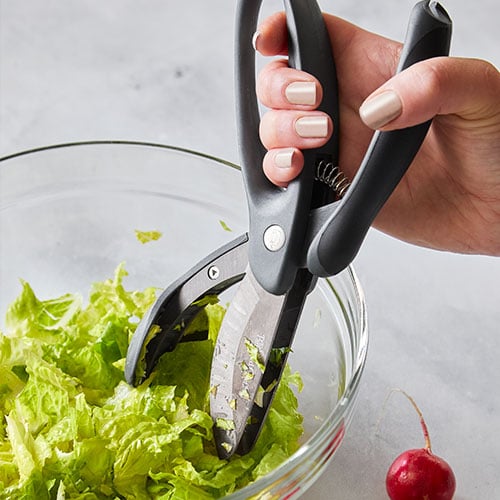 2582-1-lg.jpg Salad Chopper - Image 1