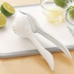 Citrus Press - Image 4